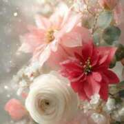 ヒメ日記 2025/12/30 22:00 投稿 静花【シズカ】 輝女