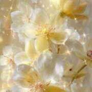 ヒメ日記 2026/01/06 08:30 投稿 静花【シズカ】 輝女