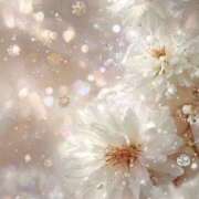 静花【シズカ】 19日逢いに来てくださったSさん♡ 輝女