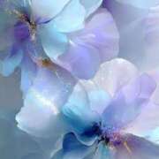 ヒメ日記 2026/01/28 08:00 投稿 静花【シズカ】 輝女