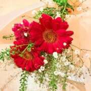 ヒメ日記 2026/02/03 08:00 投稿 静花【シズカ】 輝女