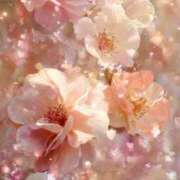 ヒメ日記 2026/02/18 23:01 投稿 静花【シズカ】 輝女