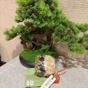 ヒメ日記 2026/02/18 23:30 投稿 静花【シズカ】 輝女