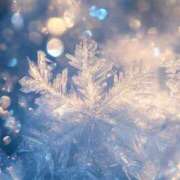 ヒメ日記 2026/02/18 23:45 投稿 静花【シズカ】 輝女