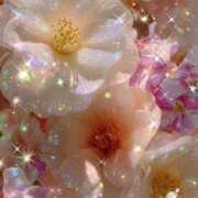 ヒメ日記 2026/02/25 23:01 投稿 静花【シズカ】 輝女