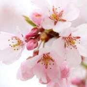 ヒメ日記 2026/03/02 23:44 投稿 静花【シズカ】 輝女