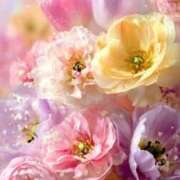 ヒメ日記 2026/03/04 23:11 投稿 静花【シズカ】 輝女