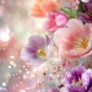 ヒメ日記 2026/03/11 12:03 投稿 静花【シズカ】 輝女