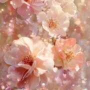 ヒメ日記 2026/03/11 12:31 投稿 静花【シズカ】 輝女