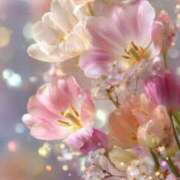 ヒメ日記 2026/03/17 08:01 投稿 静花【シズカ】 輝女