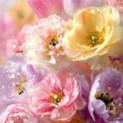 ヒメ日記 2026/03/17 08:15 投稿 静花【シズカ】 輝女