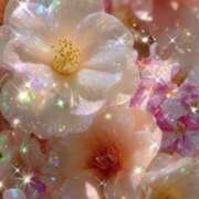 ヒメ日記 2026/03/18 08:15 投稿 静花【シズカ】 輝女