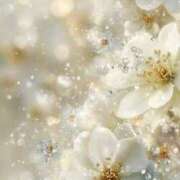 ヒメ日記 2026/03/24 07:21 投稿 静花【シズカ】 輝女