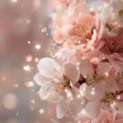 ヒメ日記 2026/03/26 09:02 投稿 静花【シズカ】 輝女