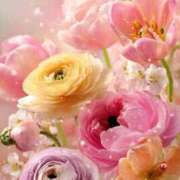 ヒメ日記 2026/03/31 08:00 投稿 静花【シズカ】 輝女