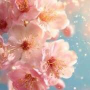 ヒメ日記 2026/04/15 09:15 投稿 静花【シズカ】 輝女