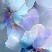 ヒメ日記 2026/05/28 08:15 投稿 静花【シズカ】 輝女