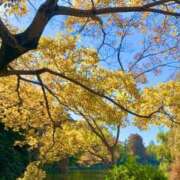 ヒメ日記 2025/11/21 14:47 投稿 ゆき 夜這い茶屋 はなれ