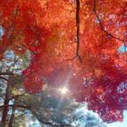 ヒメ日記 2025/11/24 18:59 投稿 ゆき 夜這い茶屋 はなれ