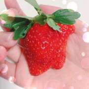 ヒメ日記 2025/12/01 15:11 投稿 ゆき 夜這い茶屋 はなれ