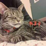 ヒメ日記 2026/02/21 16:20 投稿 ゆき 夜這い茶屋 はなれ