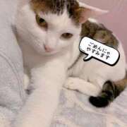 ヒメ日記 2026/03/12 10:21 投稿 ゆき 夜這い茶屋 はなれ