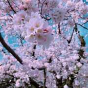 ヒメ日記 2026/04/09 13:31 投稿 ゆき 夜這い茶屋 はなれ