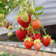 ヒメ日記 2026/04/14 11:09 投稿 ゆき 夜這い茶屋 はなれ