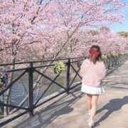 ヒメ日記 2026/03/12 21:44 投稿 藤咲えみる 癒したくて成田店～日本人アロマ性感～