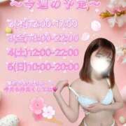 ヒメ日記 2026/03/31 19:44 投稿 藤咲えみる 癒したくて成田店～日本人アロマ性感～