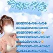 ヒメ日記 2026/04/13 10:14 投稿 藤咲えみる 癒したくて成田店～日本人アロマ性感～