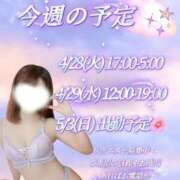 ヒメ日記 2026/04/27 15:04 投稿 藤咲えみる 癒したくて成田店～日本人アロマ性感～