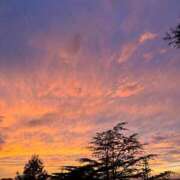 ヒメ日記 2025/12/13 16:36 投稿 かめ エピセレクション