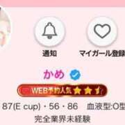 ヒメ日記 2026/01/17 19:38 投稿 かめ エピセレクション