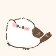 ヒメ日記 2026/04/16 18:35 投稿 まりん ビデオdeはんど 横浜校