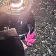 ひづき 🚗³₃ THE ESUTE HOUSE 柴田