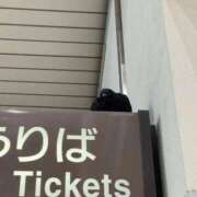 ヒメ日記 2025/12/16 09:46 投稿 ひづき THE ESUTE HOUSE 柴田