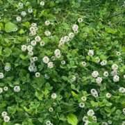 ヒメ日記 2025/12/20 12:48 投稿 ひづき THE ESUTE HOUSE 柴田