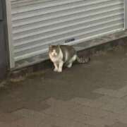 ヒメ日記 2026/02/14 21:49 投稿 ひづき THE ESUTE HOUSE 柴田