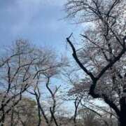 ヒメ日記 2026/04/06 20:36 投稿 ひづき THE ESUTE HOUSE 柴田