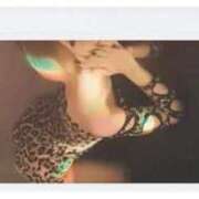 ヒメ日記 2025/11/22 21:56 投稿 ゆのあ ジュリアングループ八王子店