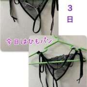 ヒメ日記 2026/02/03 14:54 投稿 びび 熟女家 十三店