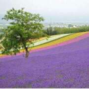ヒメ日記 2026/03/07 08:16 投稿 びび 熟女家 十三店