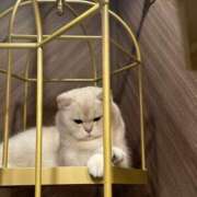 ヒメ日記 2026/01/22 19:00 投稿 みな VIVIDCREW 梅田堂山店