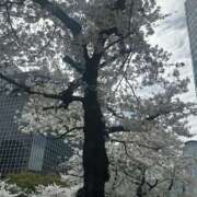 ヒメ日記 2026/04/05 19:00 投稿 みな VIVIDCREW 梅田堂山店