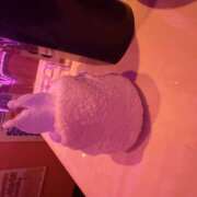 ヒメ日記 2026/01/22 23:03 投稿 もも ∞ (はっち)