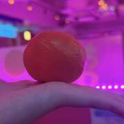 ヒメ日記 2026/02/06 22:32 投稿 もも ∞ (はっち)