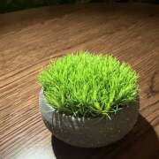 ヒメ日記 2026/02/07 16:23 投稿 もも ∞ (はっち)