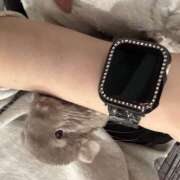 ヒメ日記 2026/02/10 17:42 投稿 もも ∞ (はっち)