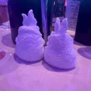 ヒメ日記 2026/02/11 16:02 投稿 もも ∞ (はっち)